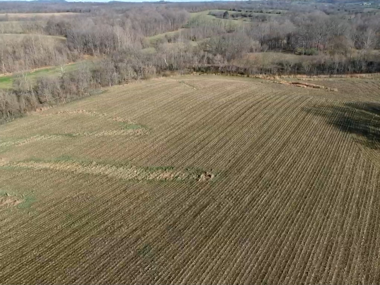 Image for The Wright Family Land Auction