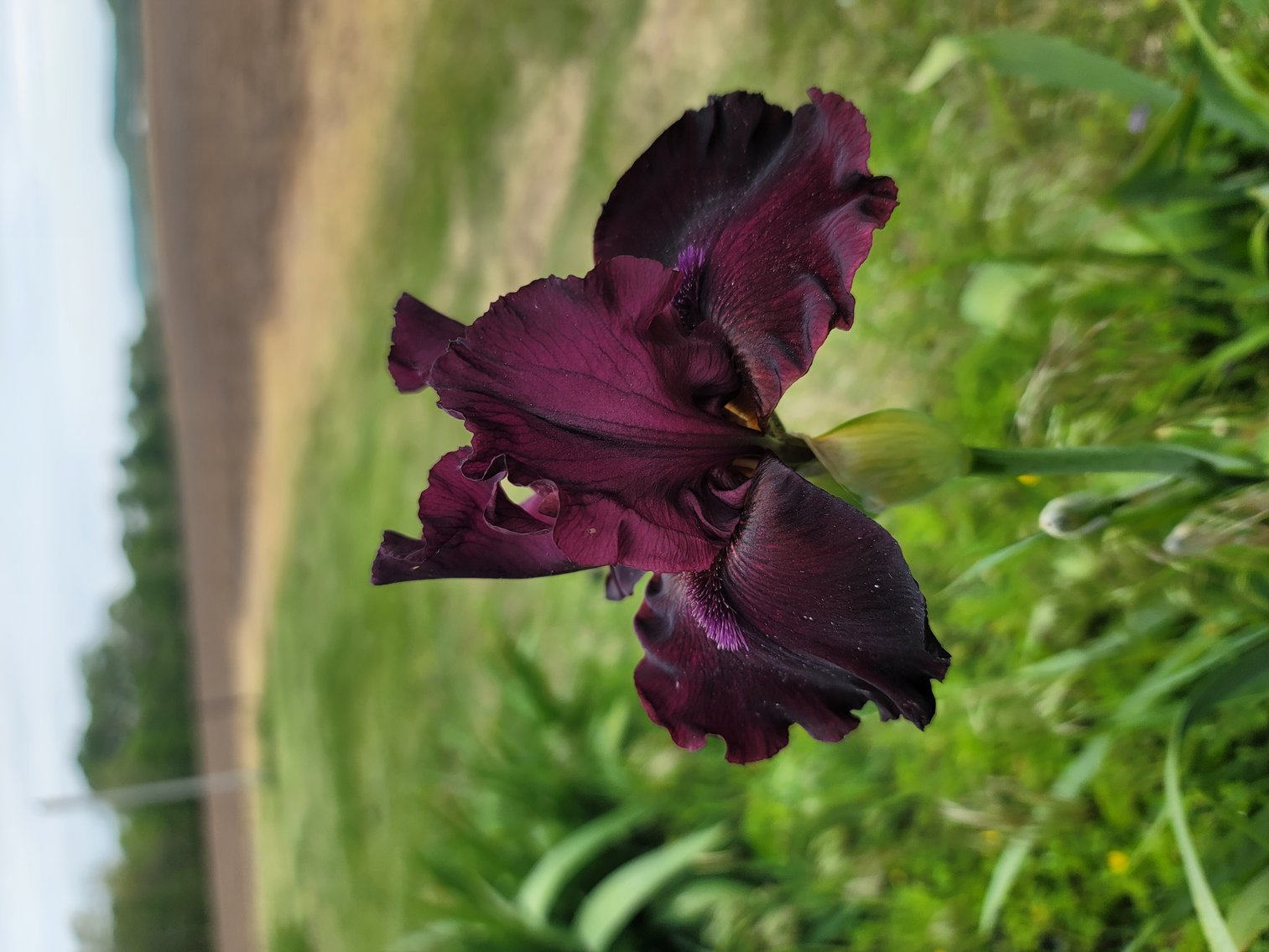 Image for Bid Your Way to Country Living: Rockwood Home Ready for New Owner at Auction