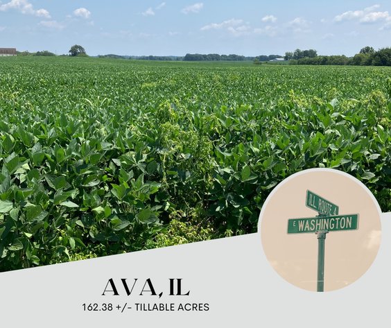 Image for Live & Online Land Auction Ava, IL