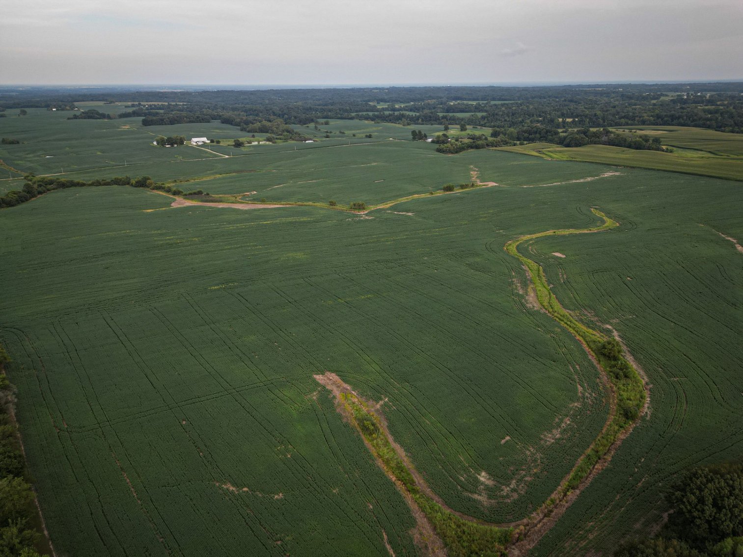 Image for Live & Online Land Auction Ava, IL