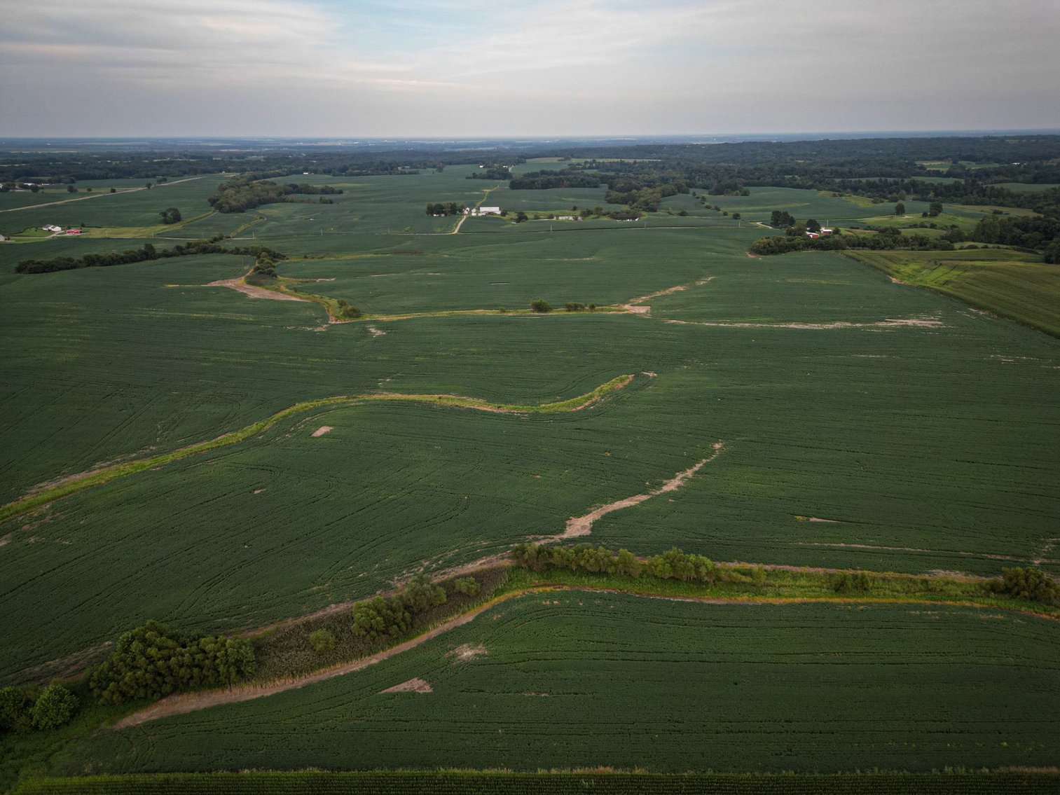 Image for Live & Online Land Auction Ava, IL