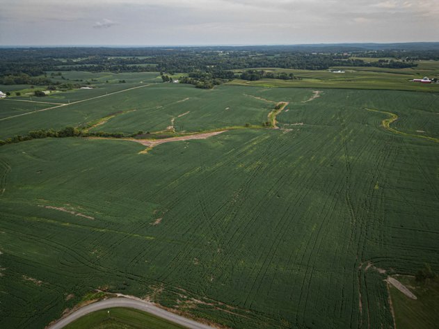 Image for Live & Online Land Auction Ava, IL