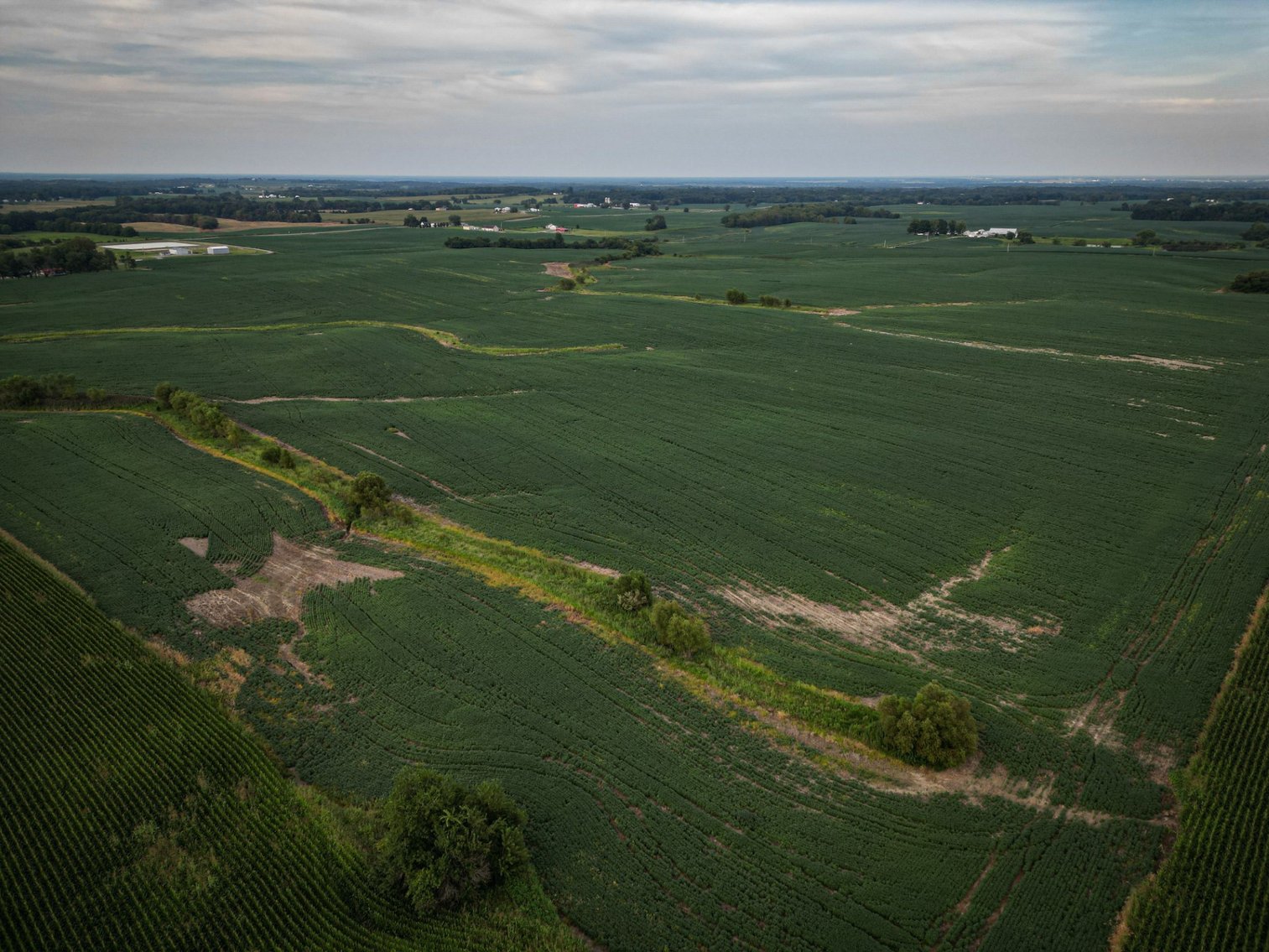 Image for Live & Online Land Auction Ava, IL