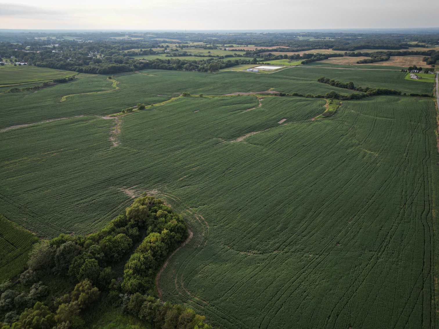 Image for Live & Online Land Auction Ava, IL