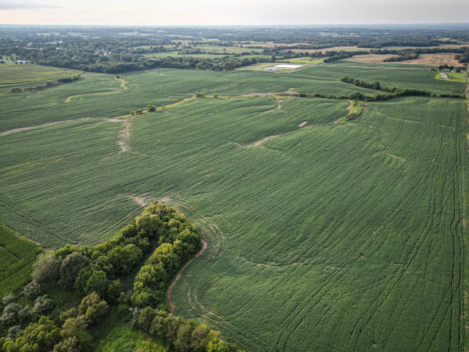 Image for Live & Online Land Auction Ava, IL