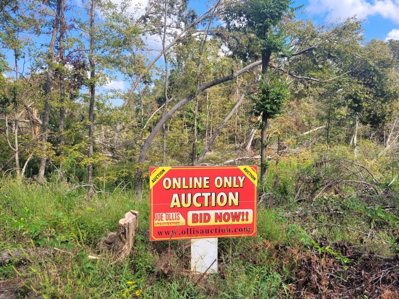 Image for 6 deeded lots - Lake of Egypt Online Only Real Estate Auction