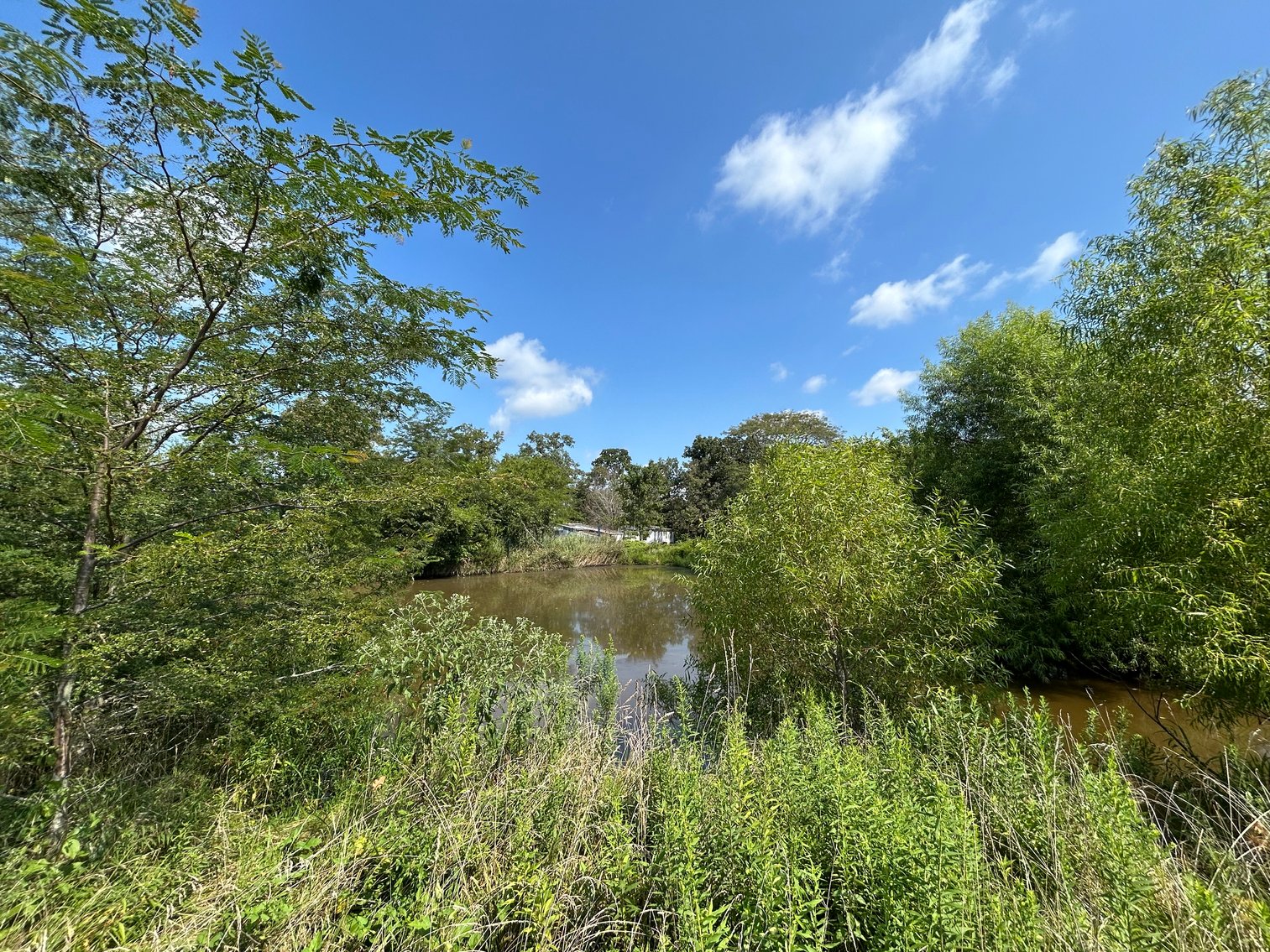 Image for Multi-Use Farm Property with Residence on 115 Acres +/-