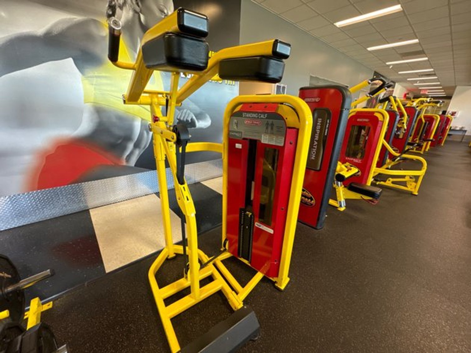 Image for Gym & Fitness Center Complete Liquidation Online Auction - Staten Island, NY