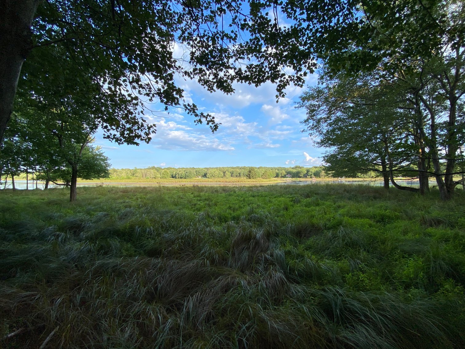 Image for Poconos and Erie PA Building Lots Public Online Auction