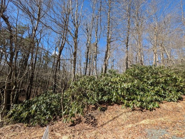 Image for (5) Building Lots in the Poconos Online Real Estate Auction - PA