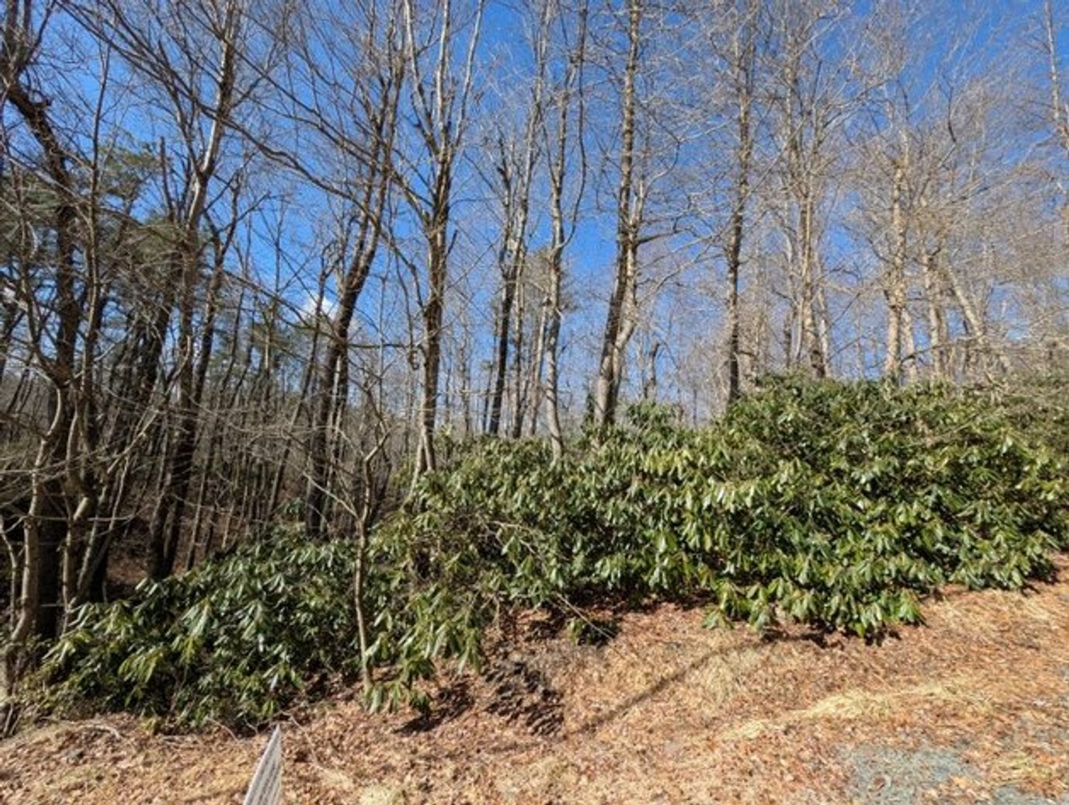 Image for (5) Building Lots in the Poconos Online Real Estate Auction - PA