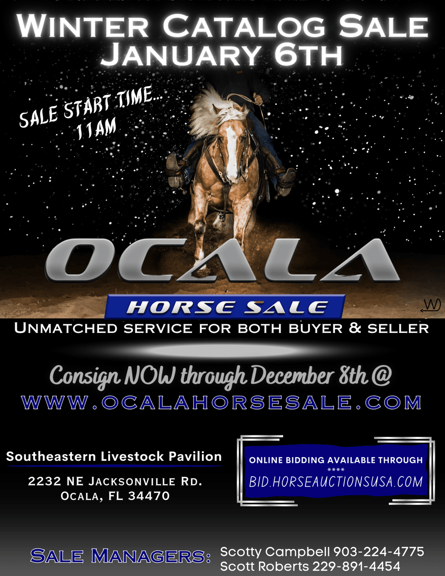 Image for Ocala Horse Sale January 6th - Ocala, Florida