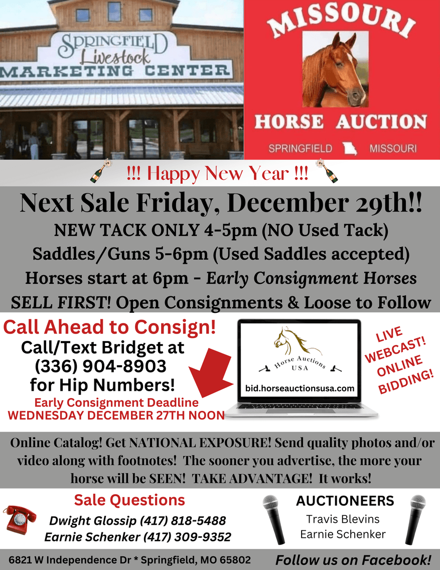 Image for Missouri Horse Auction FRIDAY DECEMBER 29TH - Springfield, MO