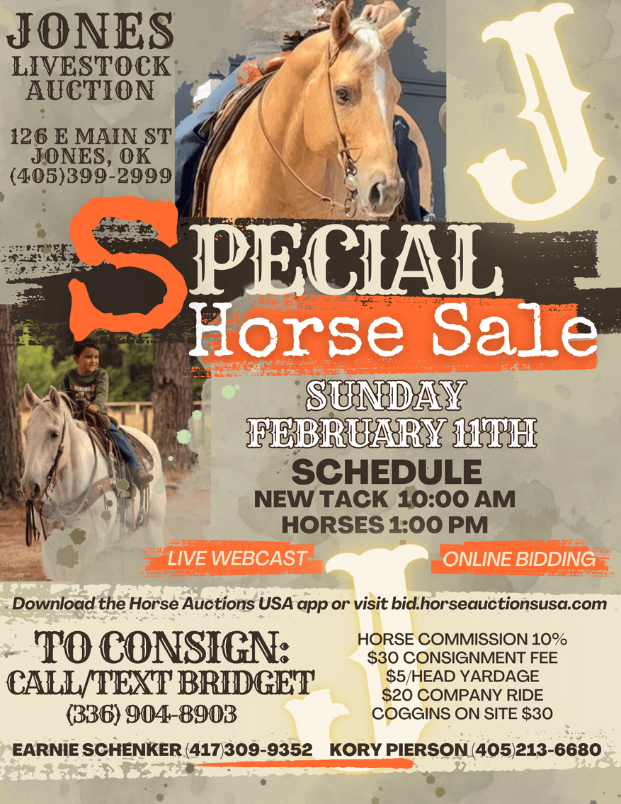 Image for Jones Livestock Auction SPECIAL HORSE & TACK SALE!   SUNDAY - FEBRUARY 11TH!