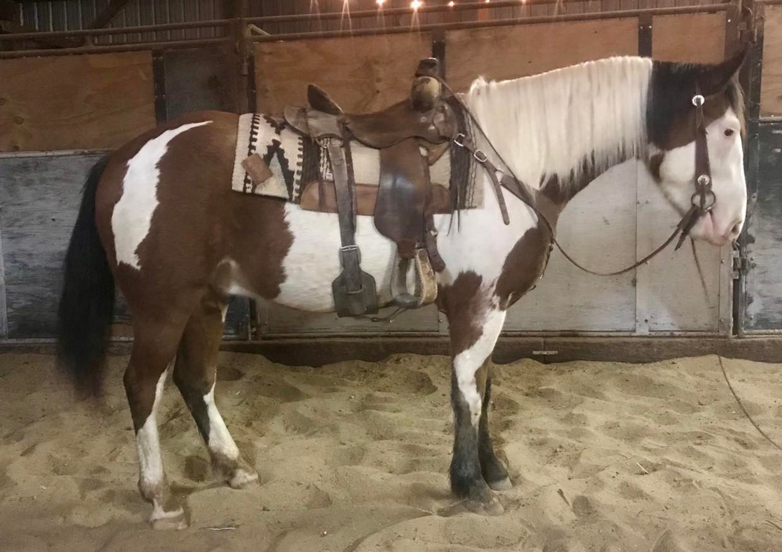 Image for Jones Livestock Auction THURSDAY December 7th  Jones, Oklahoma