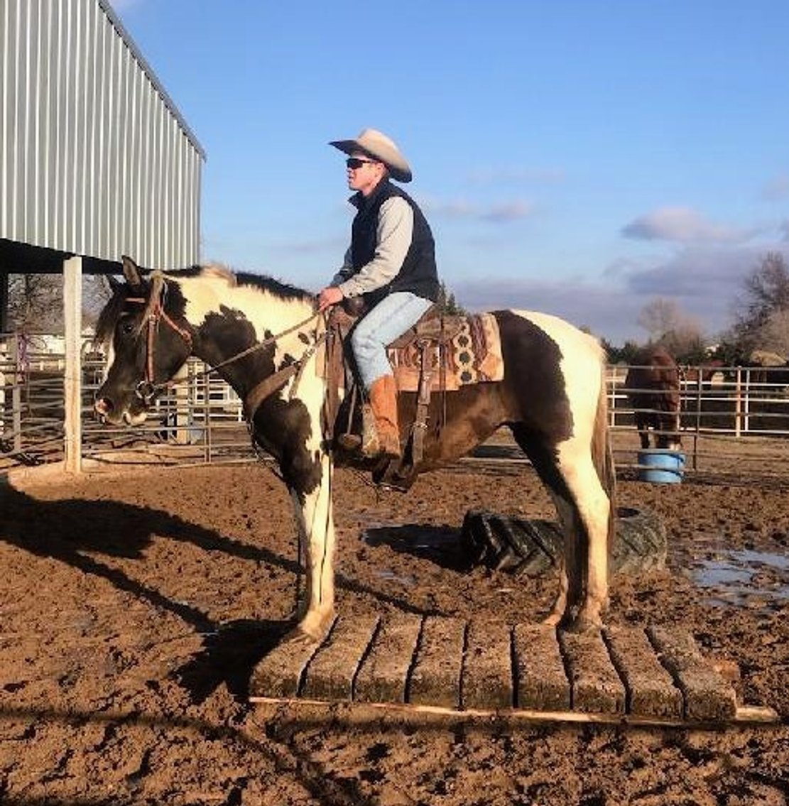 Image for Jones Livestock Auction THURSDAY December 7th  Jones, Oklahoma