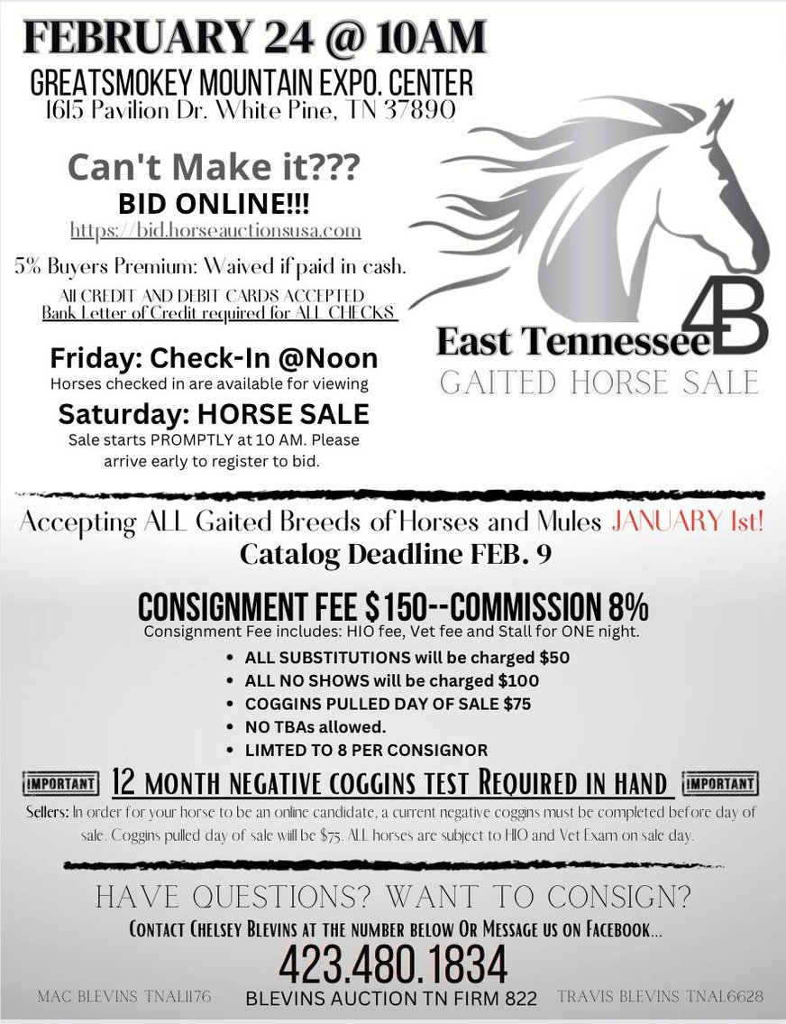 Image for East Tennessee 4B Gaited Horse Sale  White Pine, Tennessee - February 24th