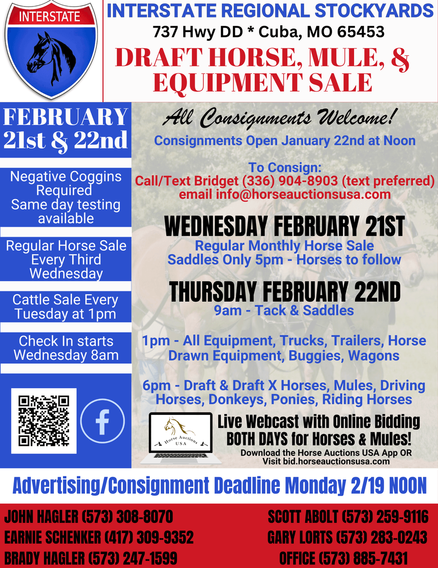 Image for Interstate Regional Stockyards TWO DAY FEBRUARY SPECIAL - DAY 2 - THURSDAY FEBRUARY 22ND