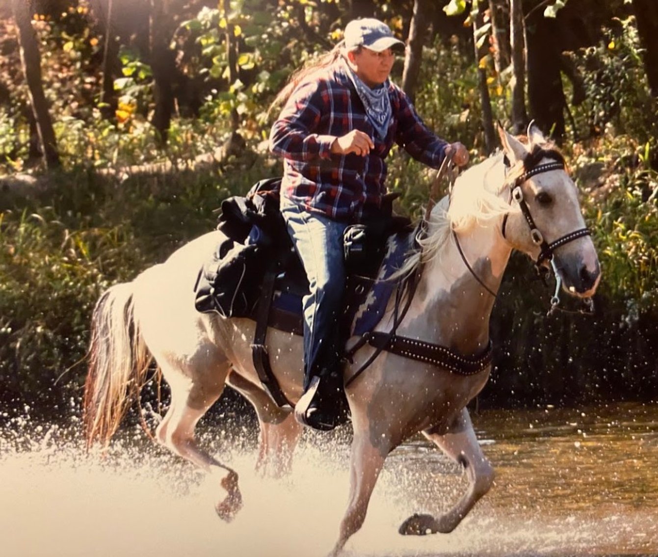 Image for East Tennessee 4B Gaited Horse Sale  White Pine, Tennessee - February 24th