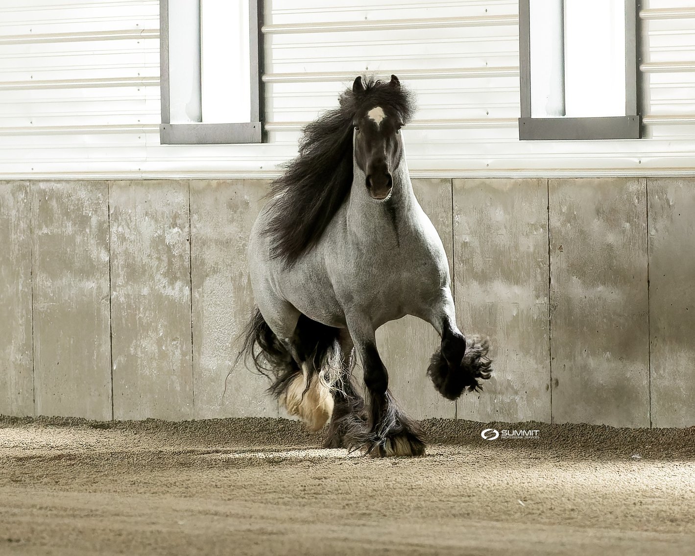 Image for NPEC Mount Up Sale - New Paris, Indiana - SALE DAY FRIDAY, MARCH 1ST!