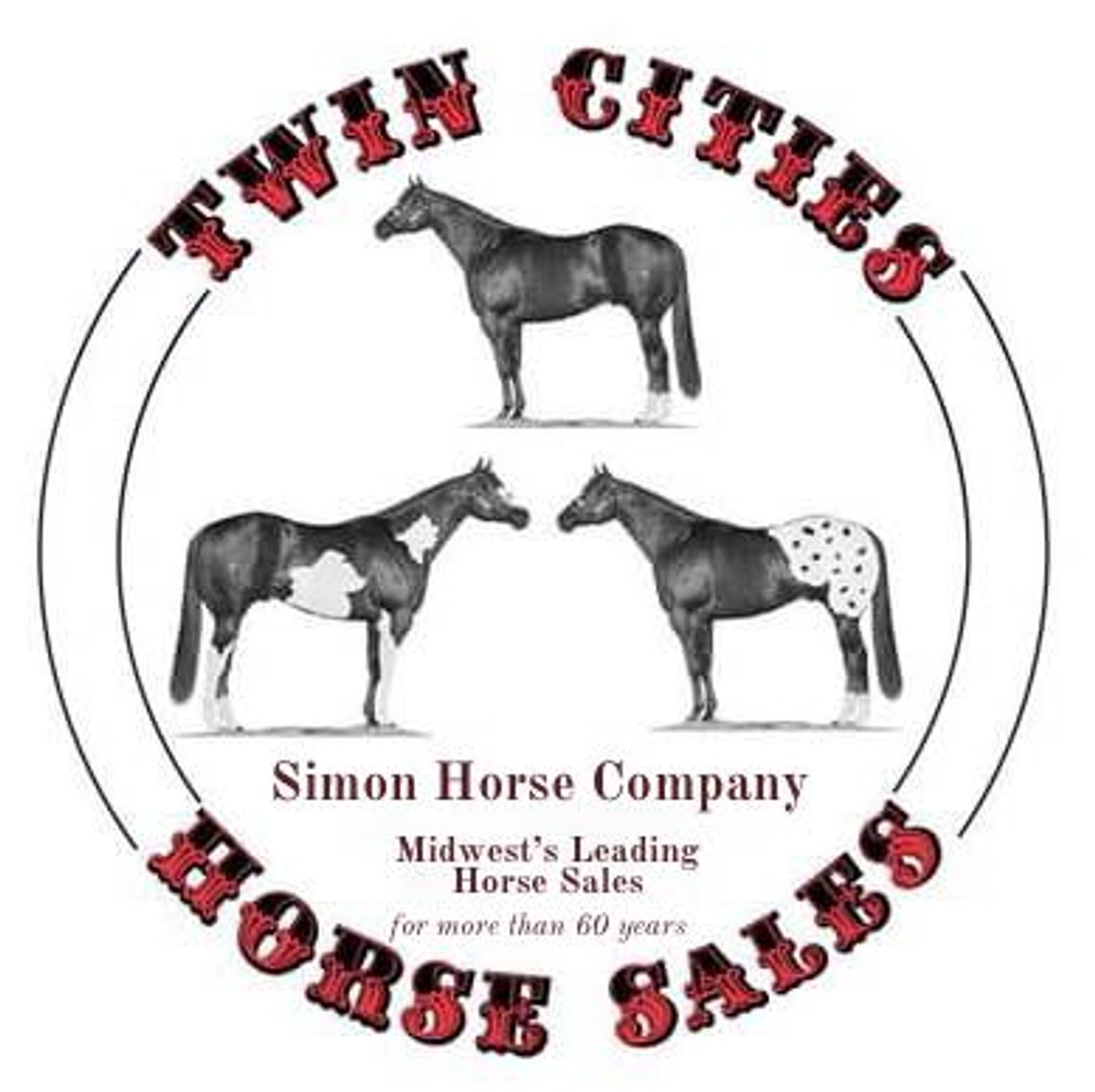 Image for Twin Cities Horse Sales - Appaloosa, Paint, & Quarter Horse Sale  APRIL 6TH Cannon Falls, Minnesota