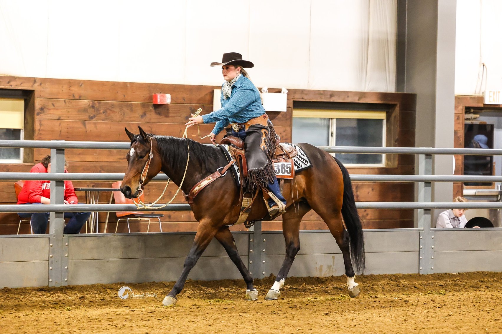 Image for Twin Cities Horse Sales - Appaloosa, Paint, & Quarter Horse Sale  APRIL 6TH Cannon Falls, Minnesota