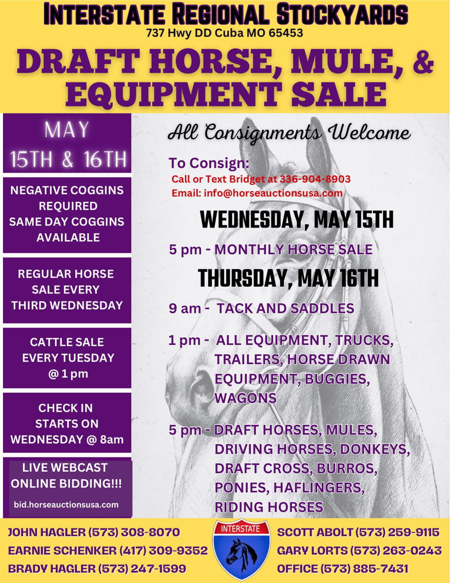 Image for Interstate Regional Stockyards TWO DAY MAY SPECIAL - DAY 1 - WEDNESDAY MAY 15TH