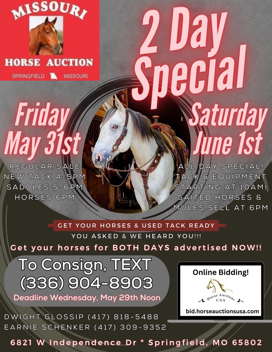 Image for Missouri Horse Auction TWO DAY SPECIAL - DAY ONE! FRIDAY MAY 31ST - Springfield, MO