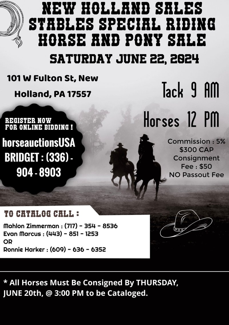 Image for New Holland Sales Stable Riding Horse & Pony Special - SATURDAY, JUNE 22ND