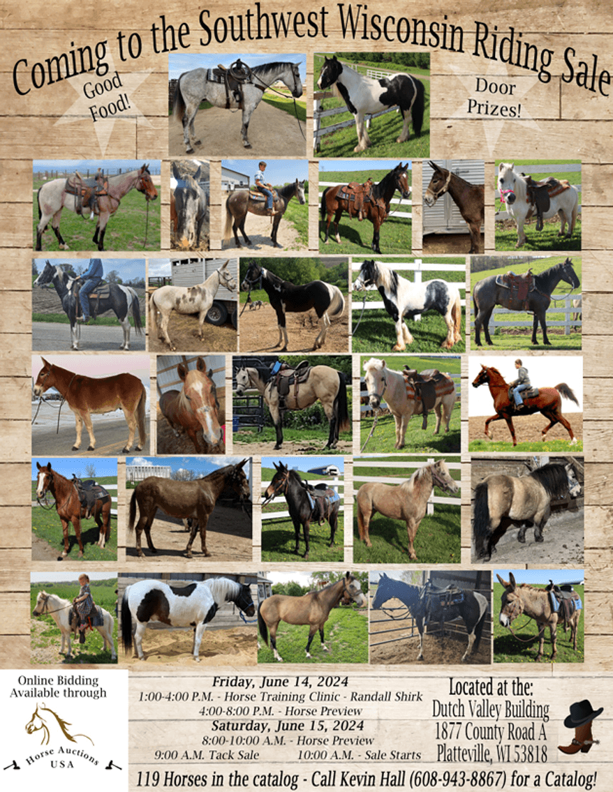 Image for Southwest Wisconsin Riding Horse Sale