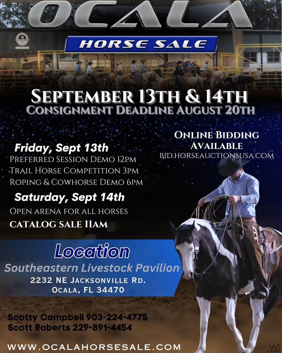 Image for Ocala Horse Sale September 14th - Ocala, Florida