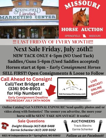 Image for Missouri Horse Auction FRIDAY JULY 26TH - Springfield, MO