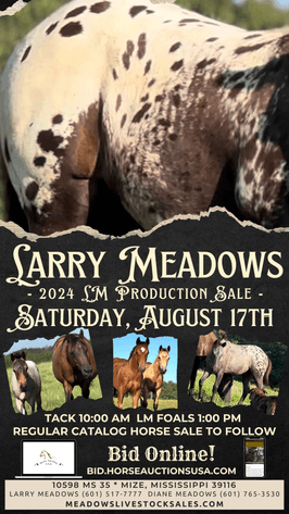 Image for Mize Horse Sale **Annual LM Production Sale - 