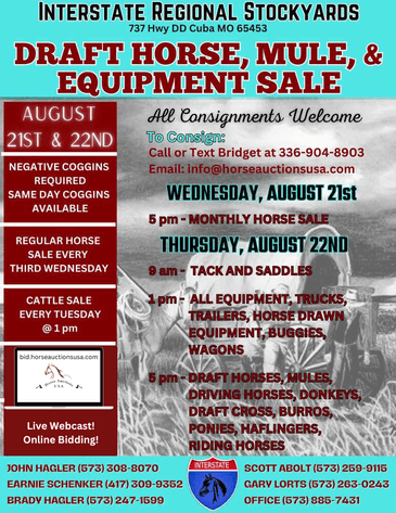 Image for Interstate Regional Stockyards TWO DAY AUGUST SPECIAL - DAY 1 - WEDNESDAY AUGUST 21ST