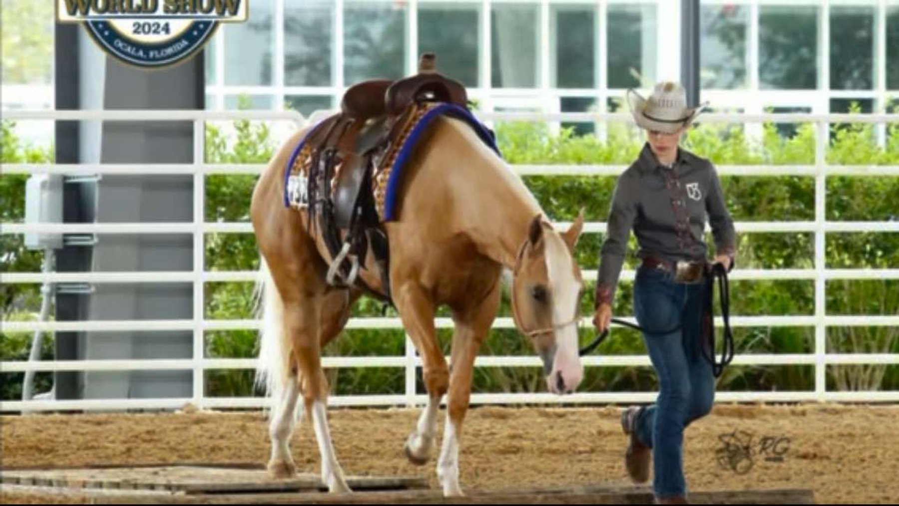 Image for Interstate Regional Stockyards TWO DAY AUGUST SPECIAL - DAY 1 - WEDNESDAY AUGUST 21ST