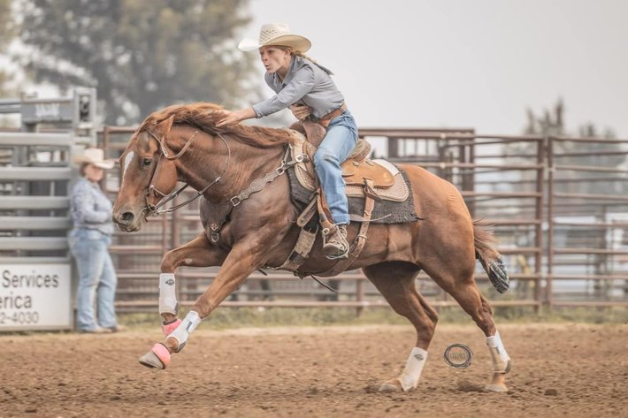 Image for Corsica Horse Sales Catalog Sale - SATURDAY, AUGUST 3RD - Corsica, South Dakota