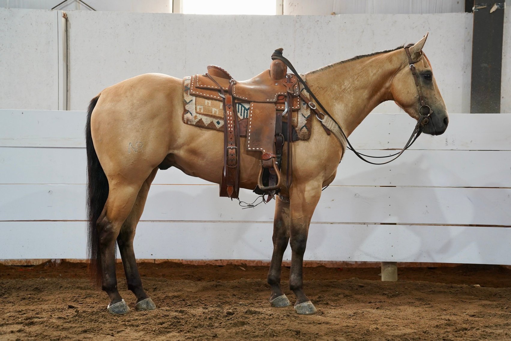 Image for Corsica Horse Sales Catalog Sale - SATURDAY, AUGUST 3RD - Corsica, South Dakota