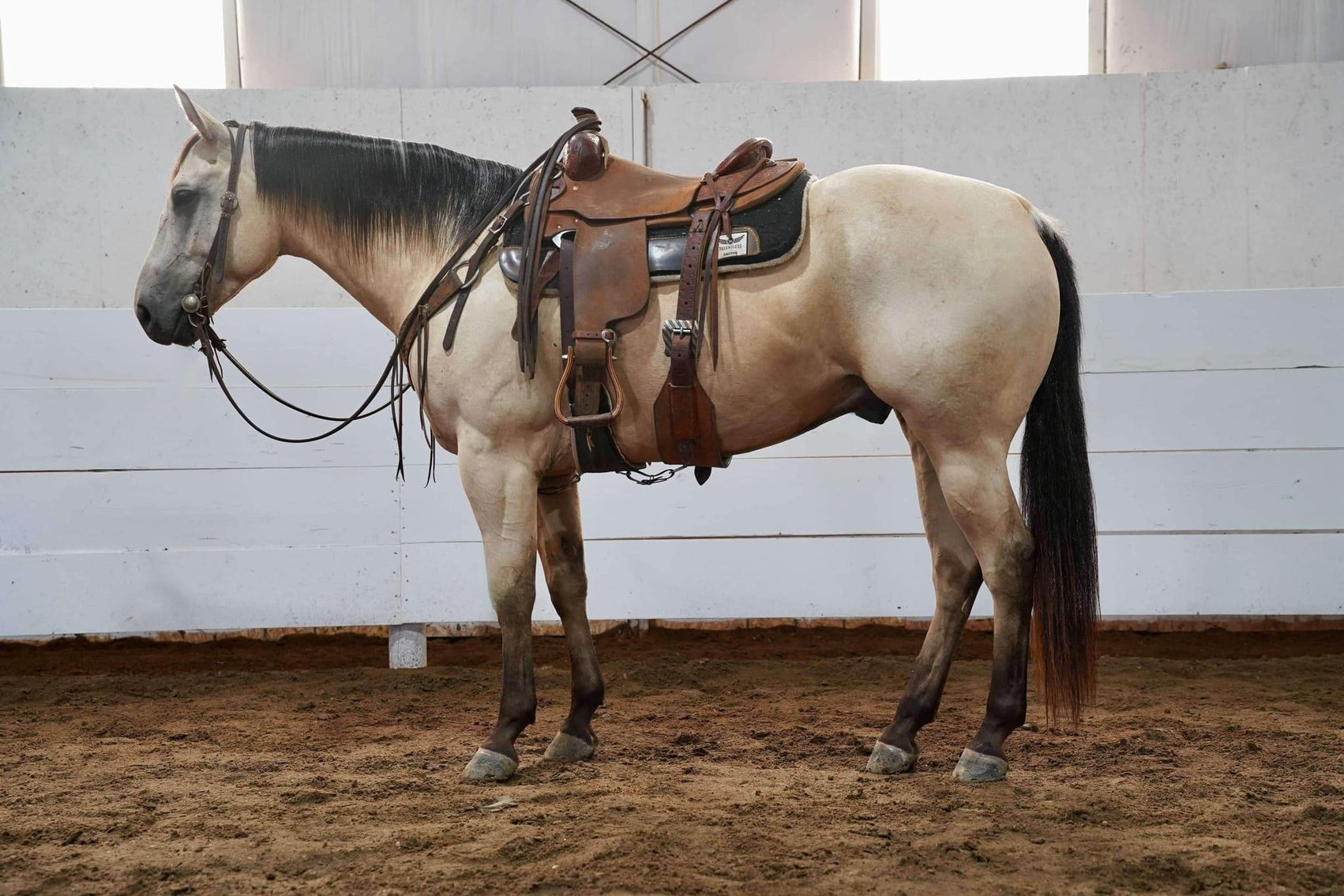 Image for Corsica Horse Sales Catalog Sale - SATURDAY, AUGUST 3RD - Corsica, South Dakota