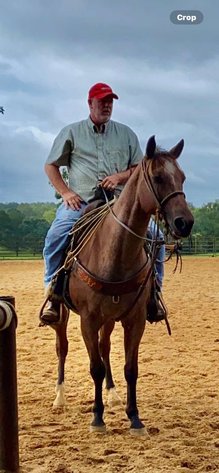 Image for Mize Horse Sale  SATURDAY AUGUST 31ST - Mize, Mississippi