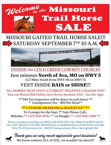 Image for Missouri Gaited Trail Horse Sale - SATURDAY SEPTEMBER 7TH - Ava, Missouri