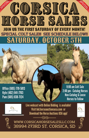Image for Corsica Horse Sales Catalog Sale *SPECIAL COLT SALE* - SATURDAY, OCTOBER 5TH - Corsica, South Dakota