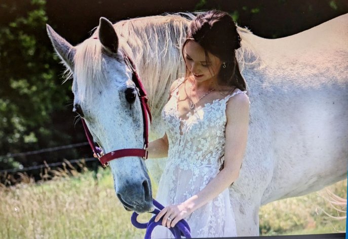 Image for Missouri Gaited Trail Horse Sale - SATURDAY SEPTEMBER 7TH - Ava, Missouri