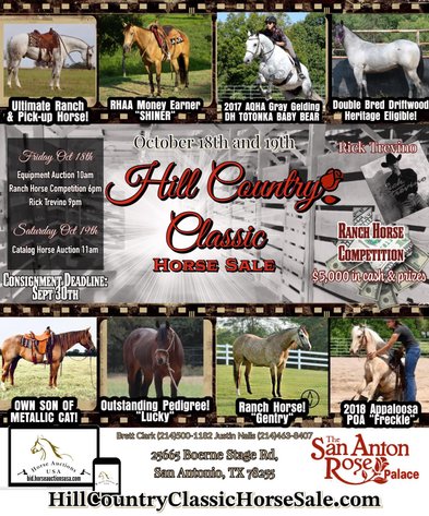Image for Hill Country Classic Horse Sale at The San Antonio Rose Palace - Saturday, October 19th - San Antonio, Texas