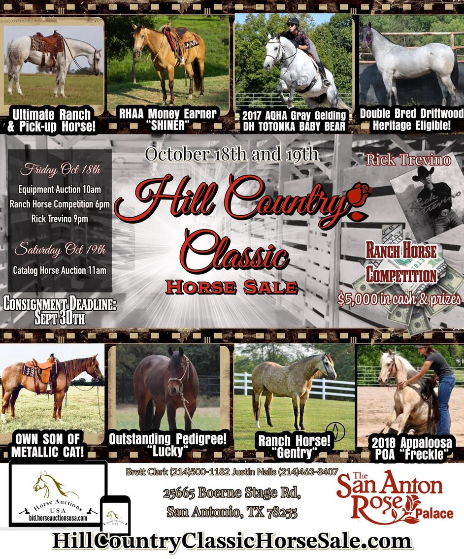 Image for Hill Country Classic Horse Sale at The San Antonio Rose Palace - Saturday, October 19th - San Antonio, Texas