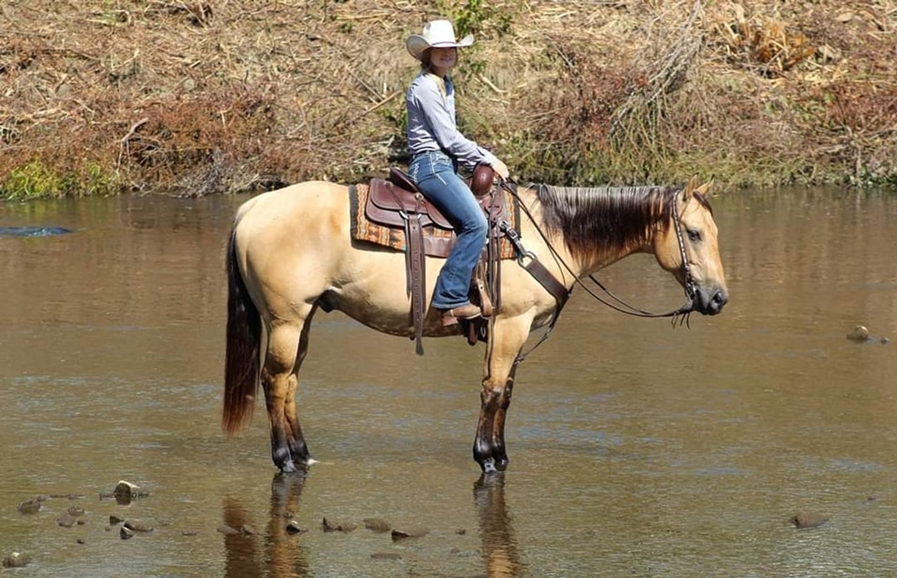 Image for KS Select Fall Sale - Clarion, Pennsylvania - SATURDAY SEPTEMBER 21ST