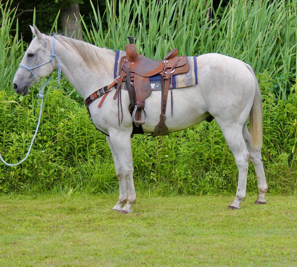 Image for KS Select Fall Sale - Clarion, Pennsylvania - SATURDAY SEPTEMBER 21ST