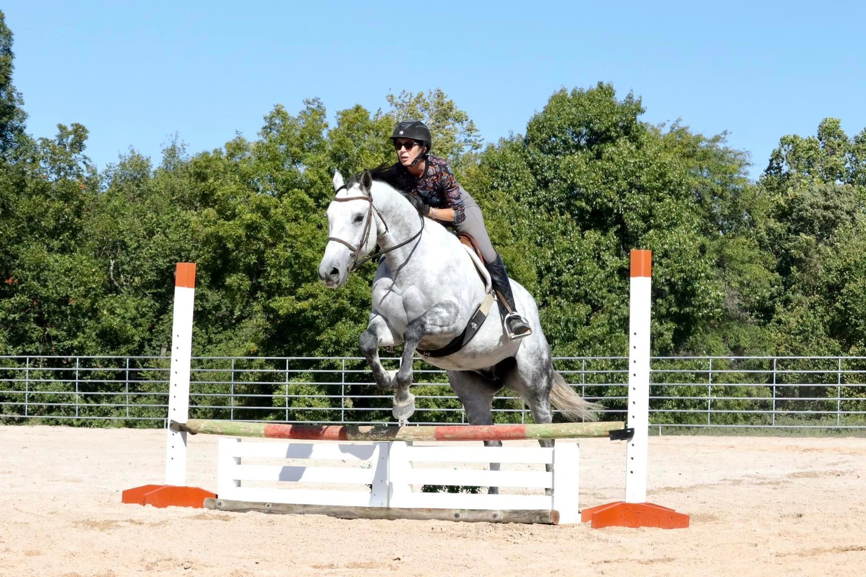 Image for Hill Country Classic Horse Sale at The San Antonio Rose Palace - Saturday, October 19th - San Antonio, Texas