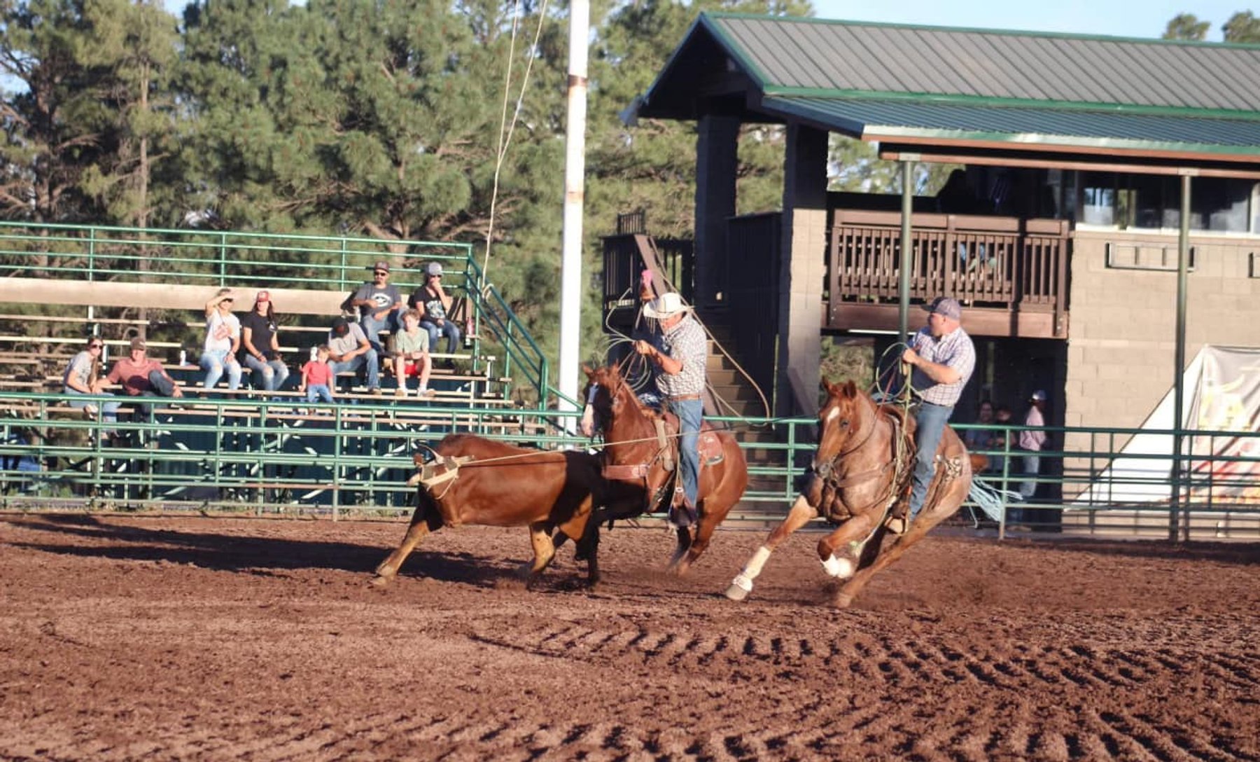 Image for Hill Country Classic Horse Sale at The San Antonio Rose Palace - Saturday, October 19th - San Antonio, Texas