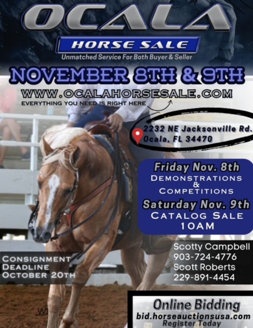 Image for Ocala Horse Sale November 9th - Ocala, Florida