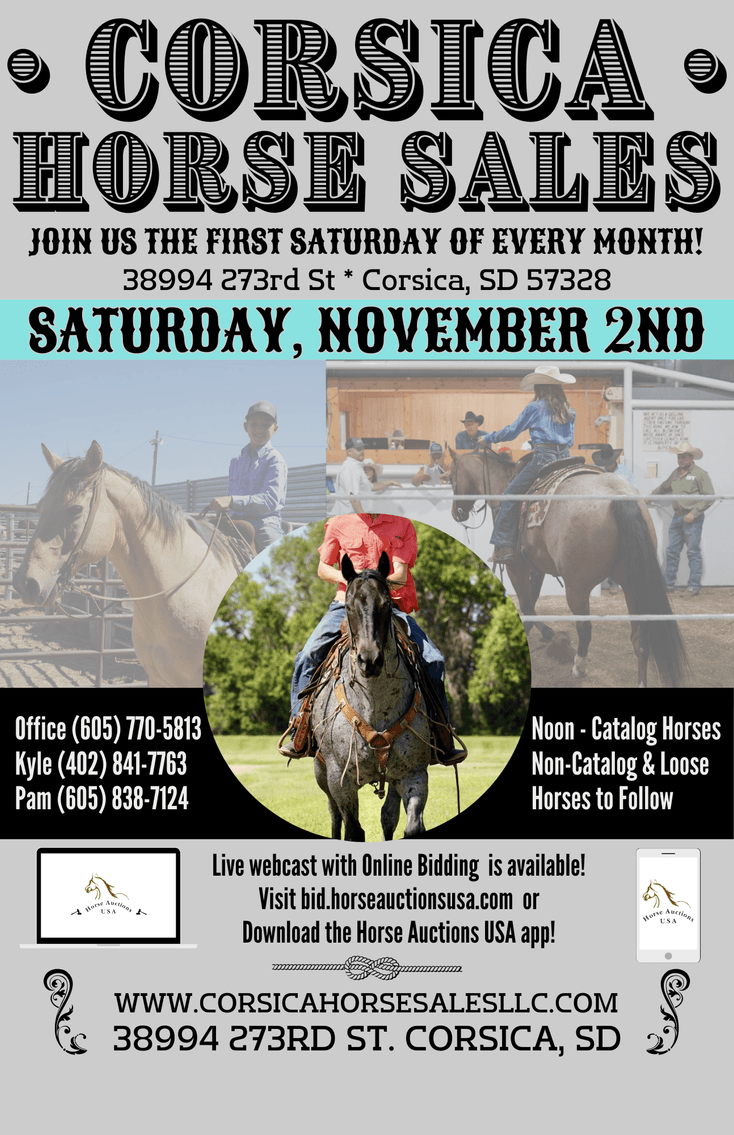 Image for Corsica Horse Sales Catalog Sale - SATURDAY, NOVEMBER 2ND - Corsica, South Dakota